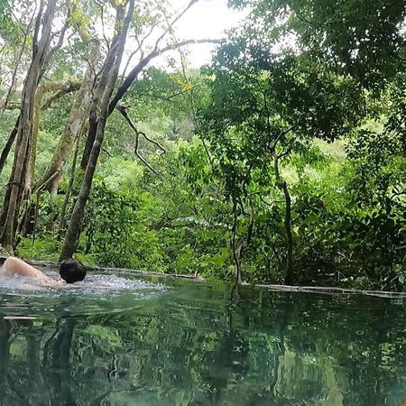 Casa Morella Monteverde Ngoại thất bức ảnh